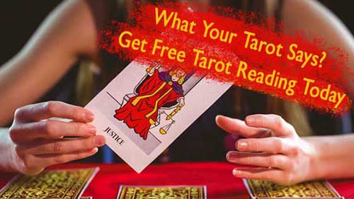 Tarot Card Reader in Jaipur